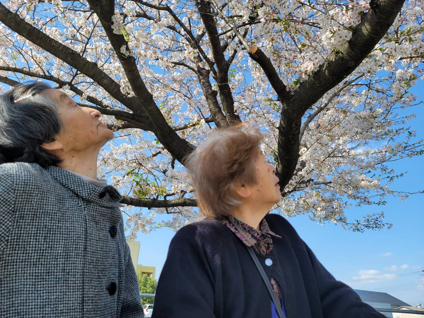 新しい挑戦で、心温まる介護を提供してみませんか？